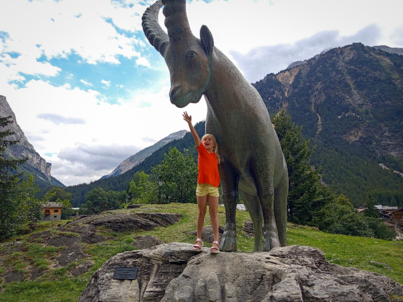 Pralognan-la-Vanoise, steenbok 