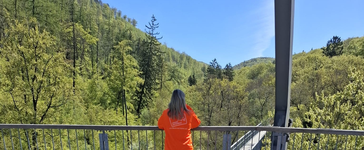 Genieten van het uitzicht over de boomtoppen in Bad Harzburg