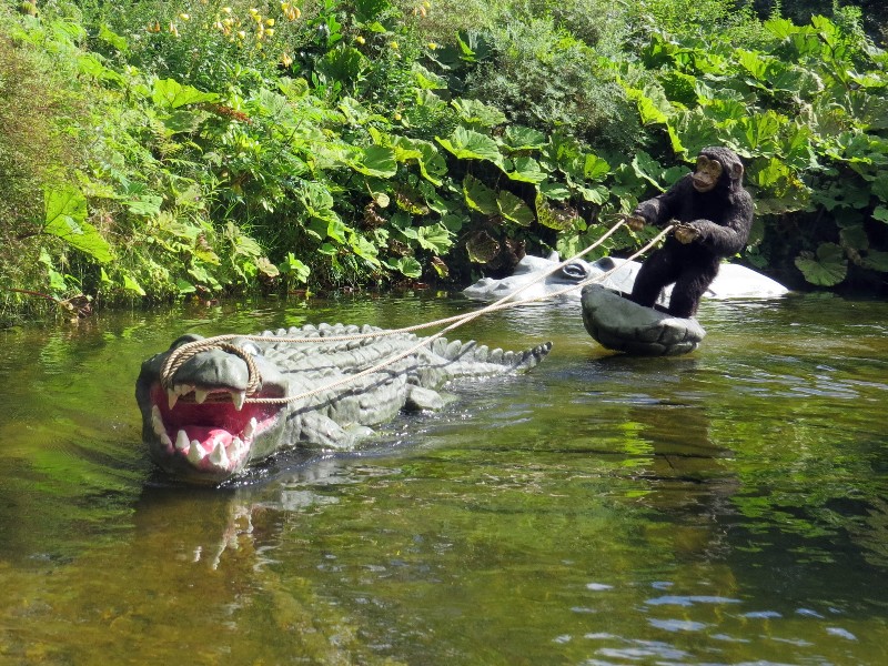 Waterskiënde aap in de Afrikaanse jungle