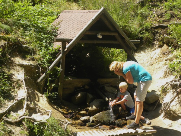 We vinden wat verkoeling in de bossen