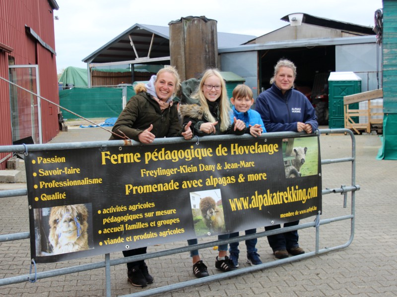 Op bezoek bij een Alpaca boerderij