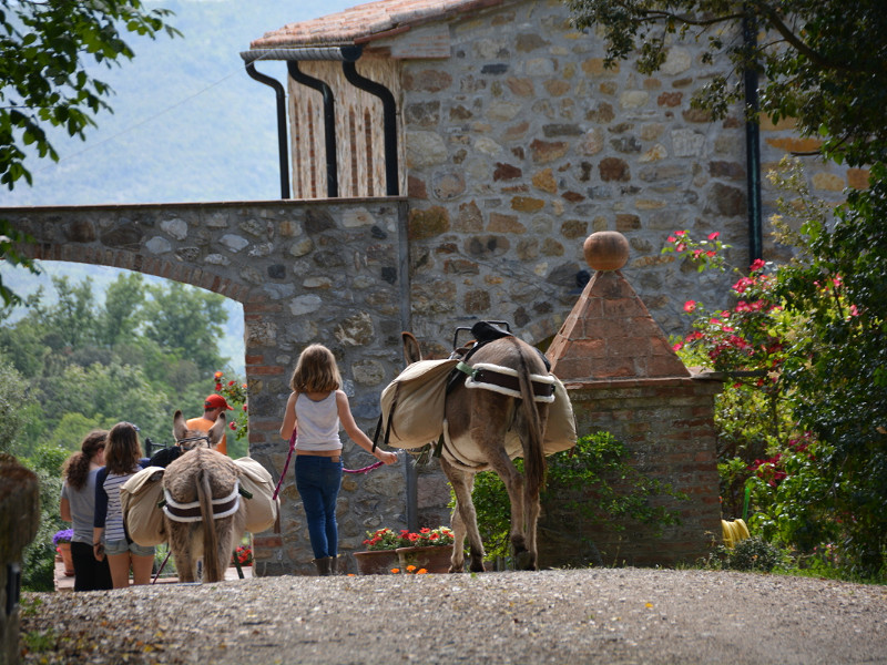 Met de Ezel wandelend in Toscane