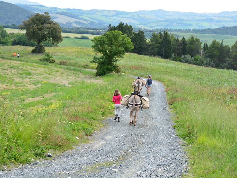 Met de ezel wandel je door de prachtige natuur van Toscane