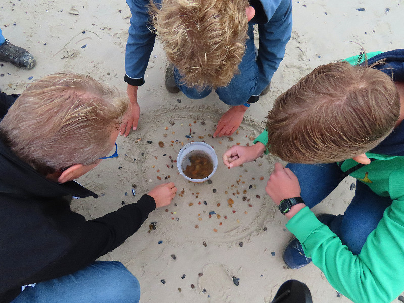 Hebben we barnsteen gevonden of oranje steentjes?