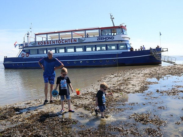 robbentocht op ameland met bezoek schelpenbank