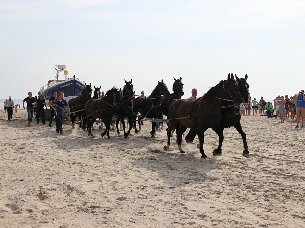 Reddingsboot Ameland