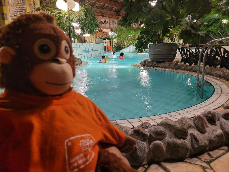 Vakantie met Kinderen apie in het zwembad van Center Parcs Nordseeküste