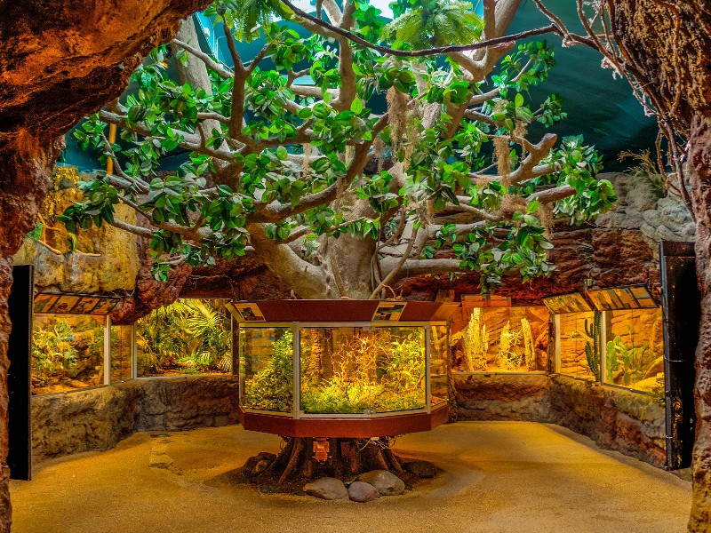 Het kindvriendelijke museum Skansen in Stockholm