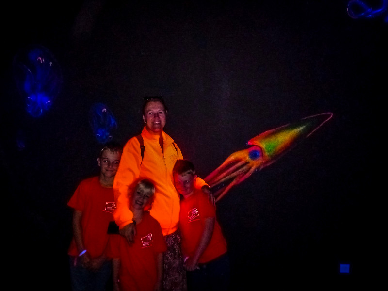 Het was super leuk bij Aquarium de Vendée