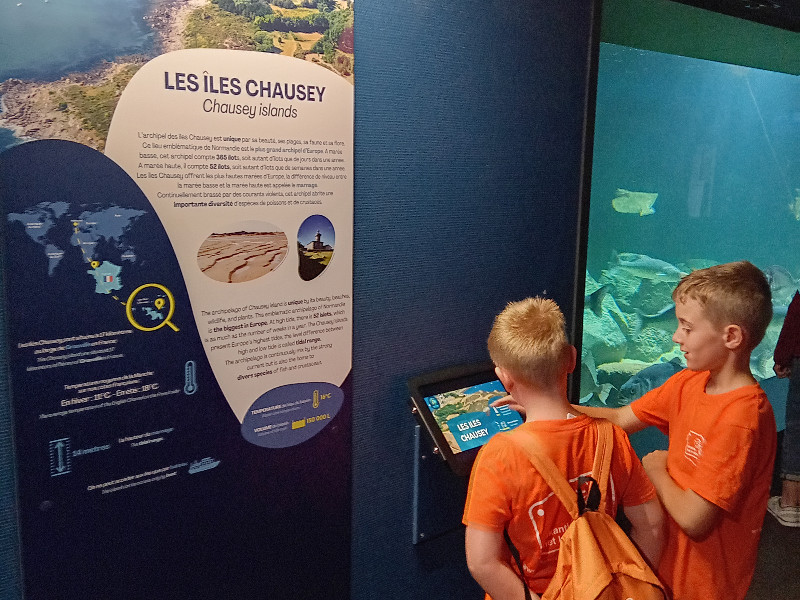De jongens in Aquarium de Vendée