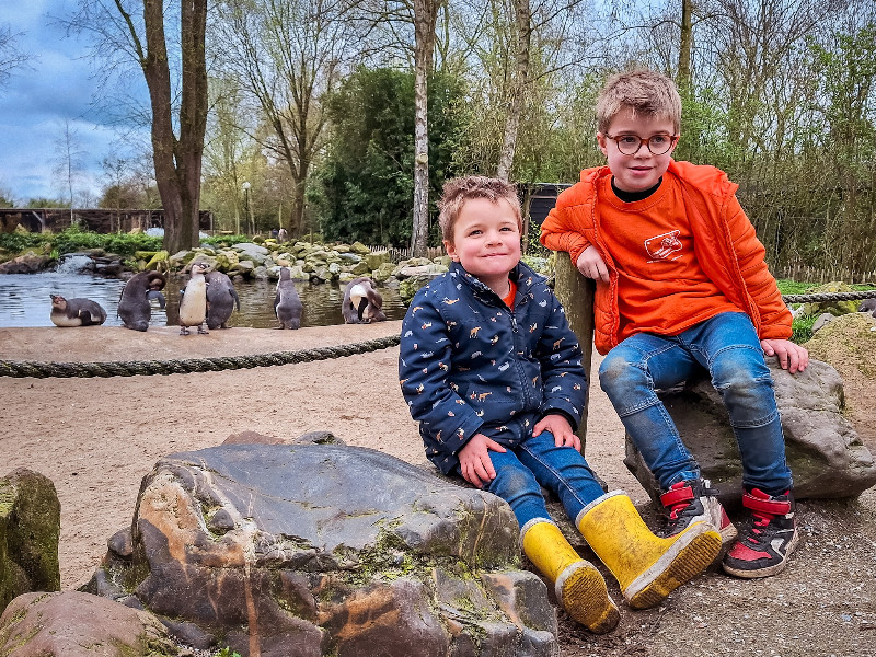 De kids bij de pinguins