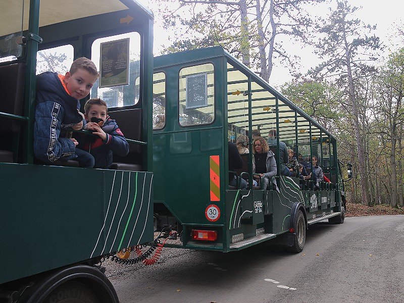 Na de grotten gaan we op safari met deze gave bus!