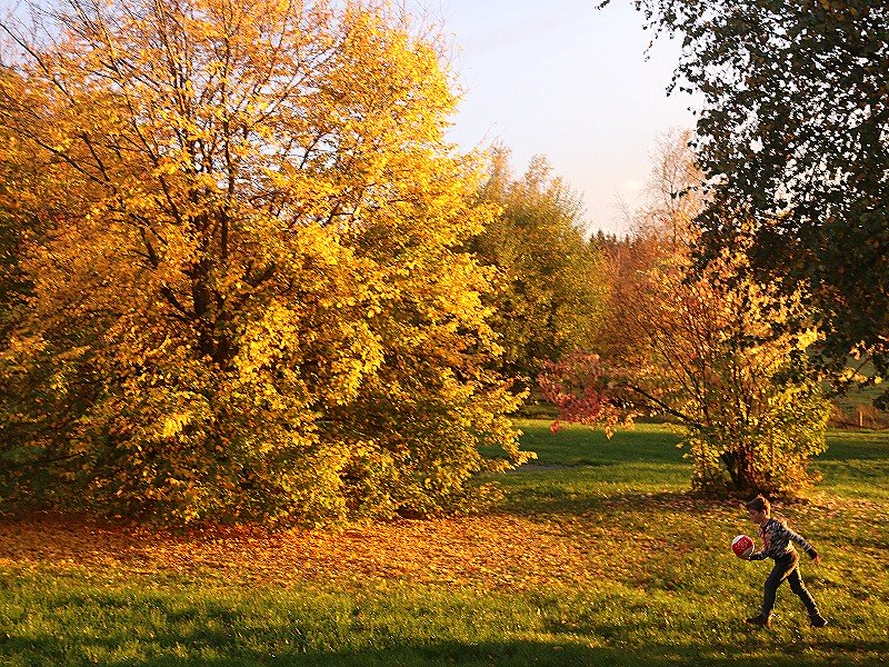 Lekker voetballen in de prachtige grote herfsttuin