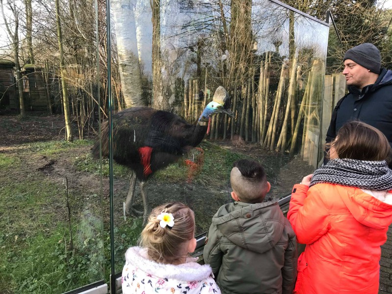 Oei, dat is wel een hele grote vogel!