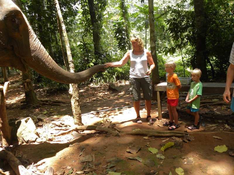 We krijgen fruit en mogen de olifanten voeren