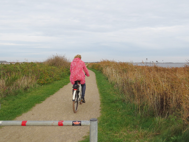 Fietsen over de dam bij de Ringkøbing Fjort