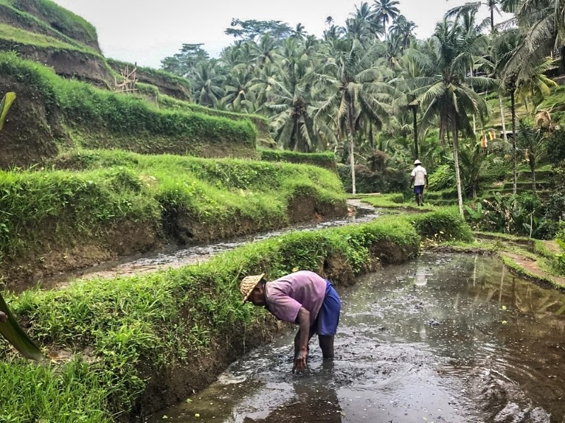 man aan het werk op de terrassen