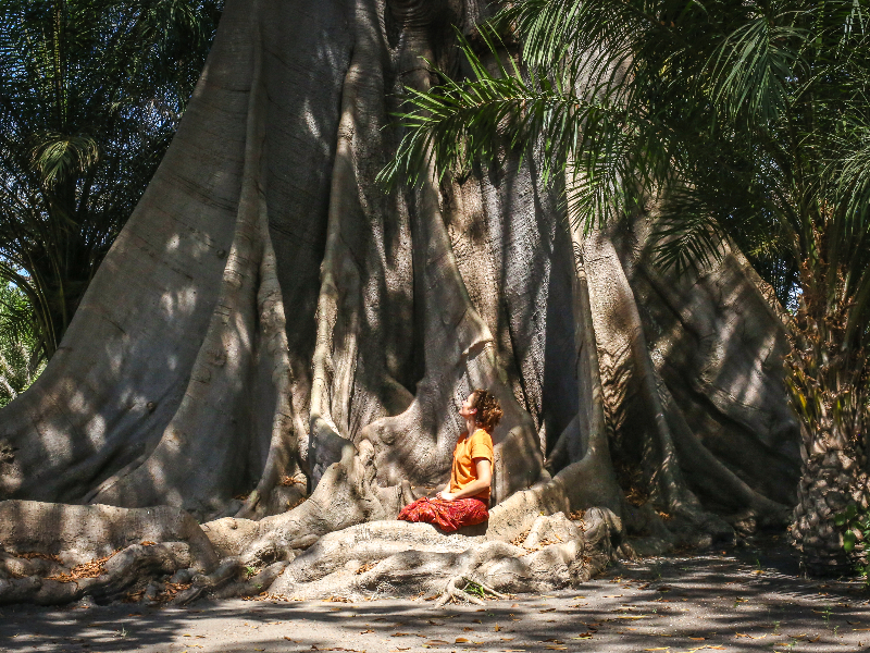 Elisabeth in een van de grootste Baobabs van Gambia