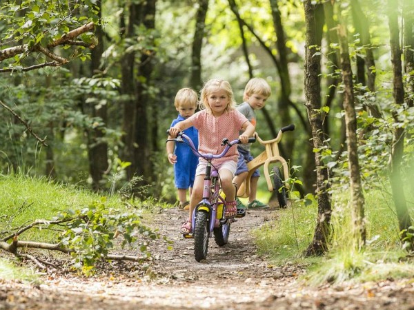 Peuters op de fiets in de bossen rondom het Land van Bartje