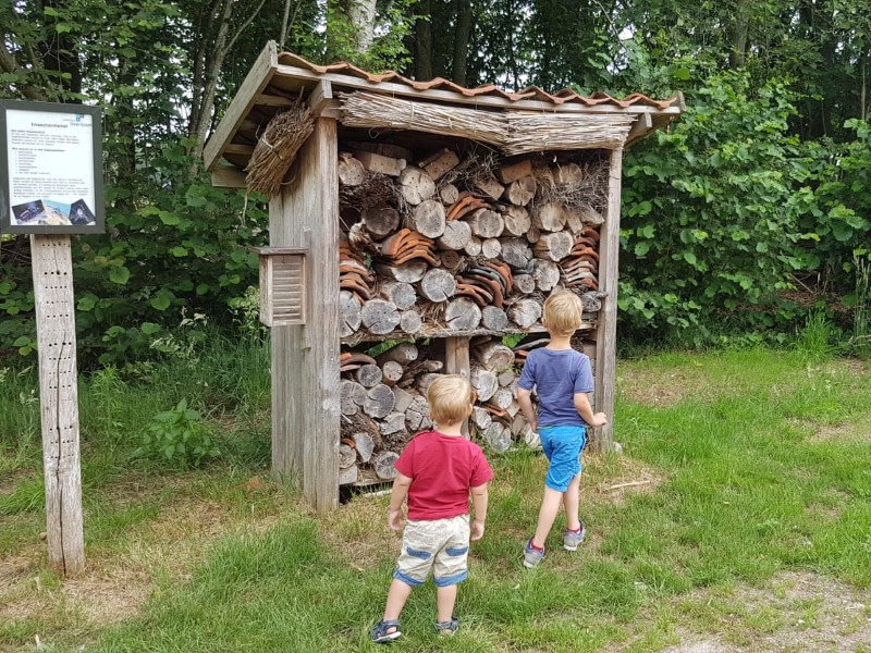 Hé dit is een pissenbedden hotel!