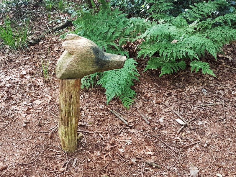 Bas de Das wijst ons de weg