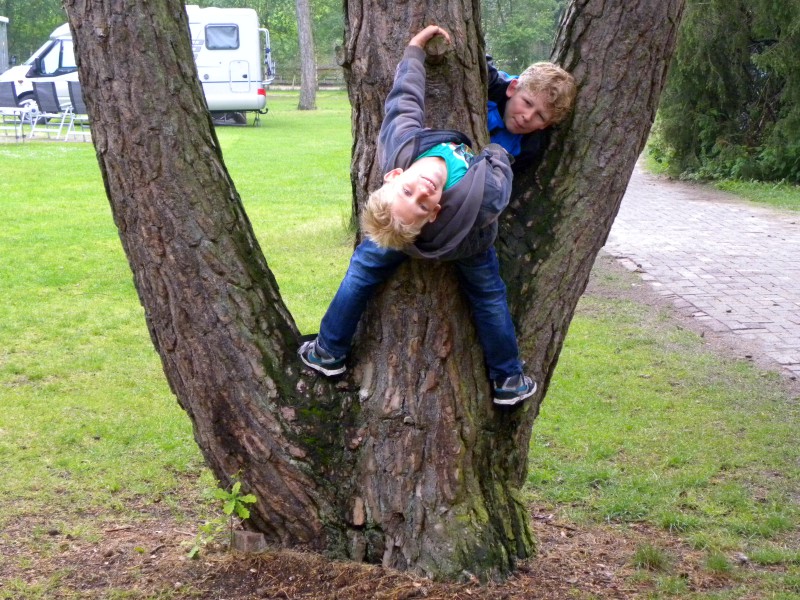 boompje klimmen bij Beerze Bulten