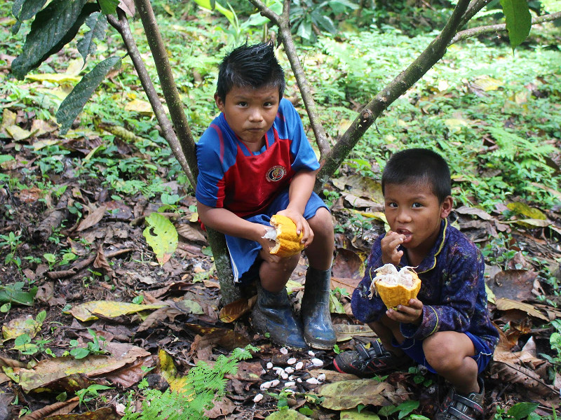 Locale kinderen snoepen van het fruit