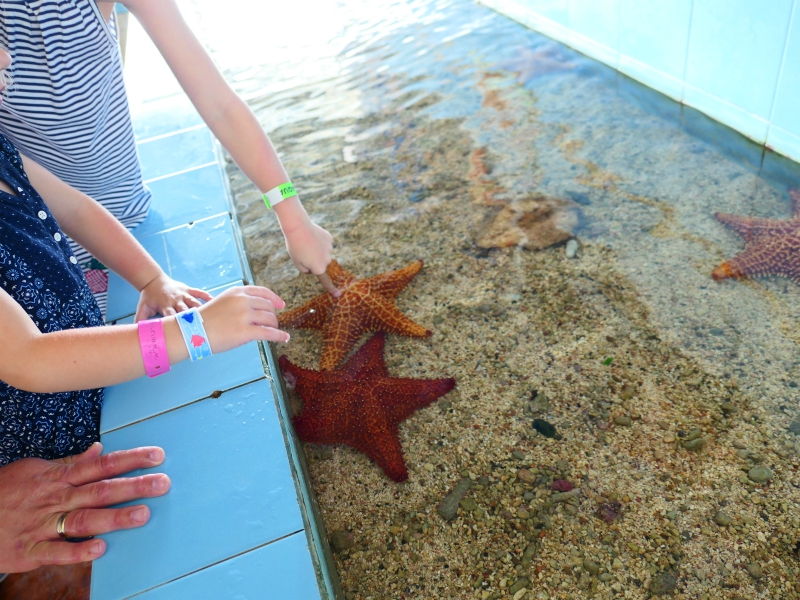 Even voelen in de Touch Tank