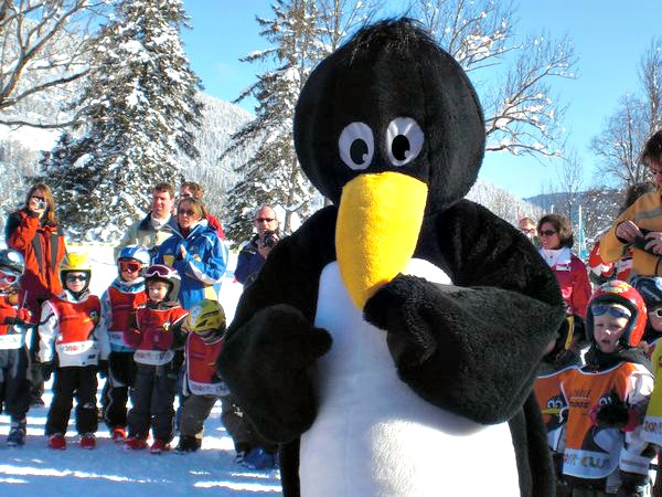 bobo-pinguin-lermoos-600.jpg