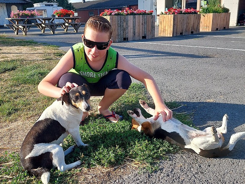 Twee van de vier lieve honden van Aan de Vleterbeke: Bijou en Bella