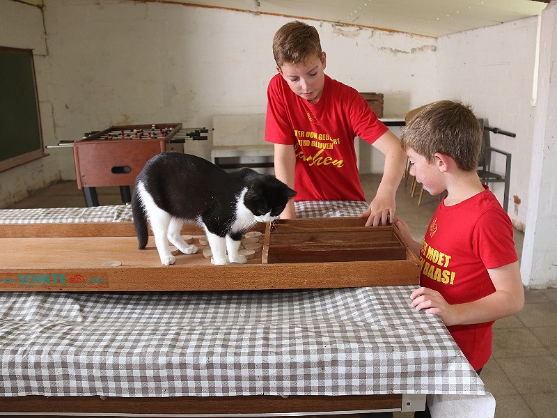 Sjoelen met poes Loes!