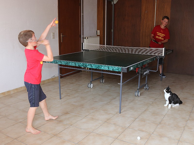 Tafeltennissen met poes Loes!
