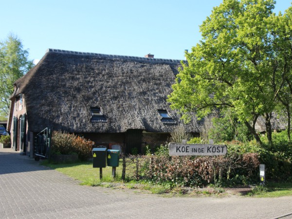De boerderij van Koe in de Kost