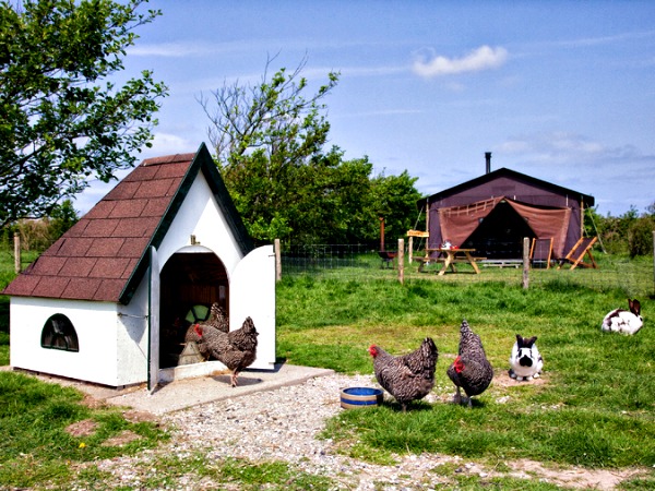 Glamperen op de boerderij