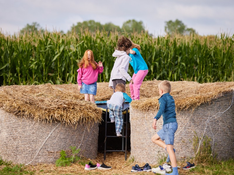 kinderen spelen op de trampoline