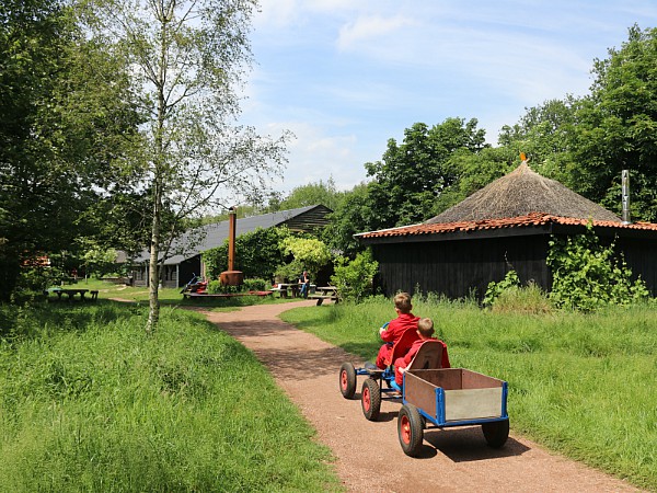De jongens voelen zich meteen thuis bij Boerenbed de Lange Weide