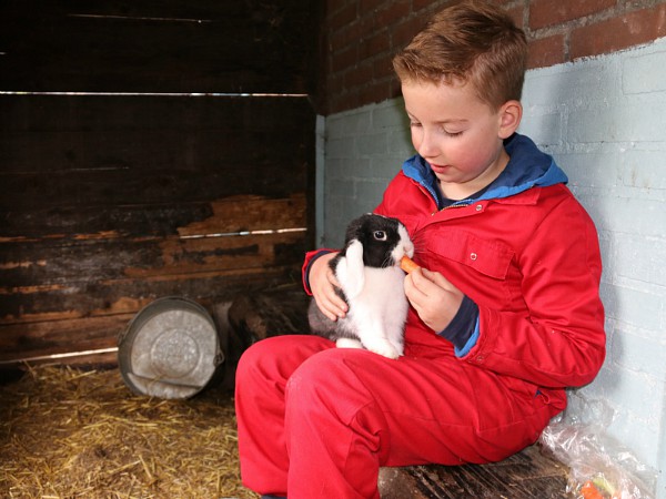 Gelukkig hebben we worteltjes mee genomen voor de konijntjes