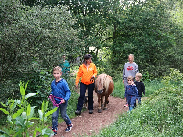 De pony nemen we gewoon mee naar te tent!