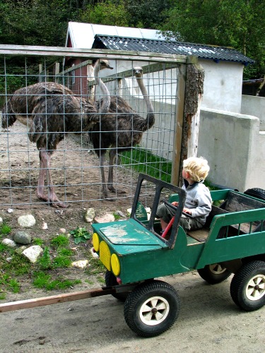 Zeb in de bolderjeep bij Safari zoo park Lindrup