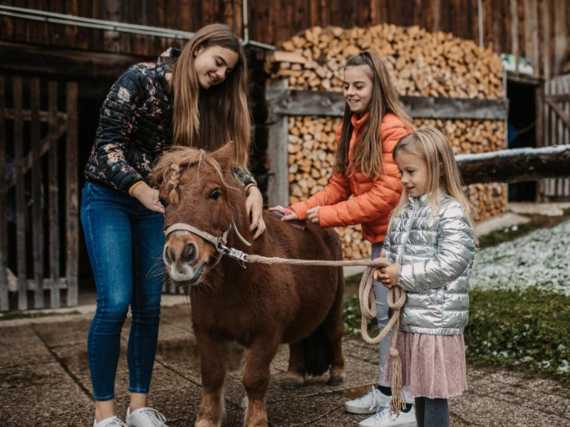Hotel Neubergerhof net buiten Filzmoos met zwembad en dieren
