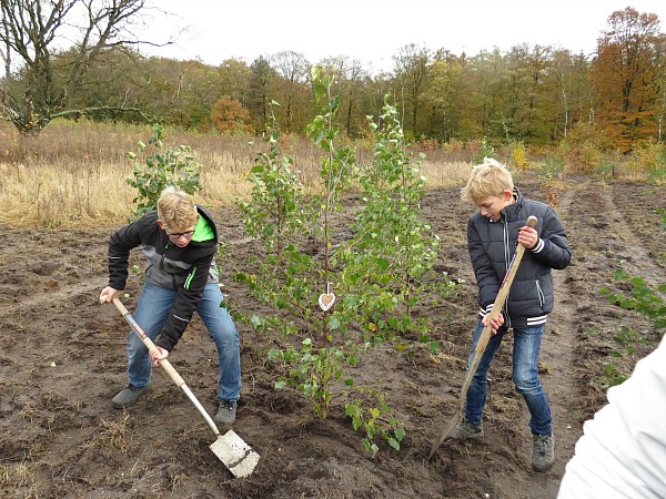 Zeb en Tycho planten een boom