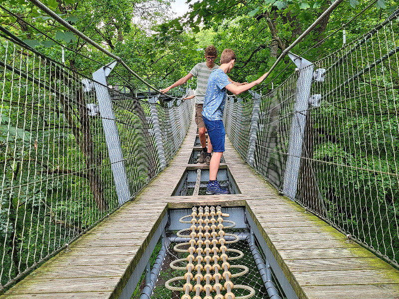 Het boomkroonpad met uitdagende obstakels in Bad Harzburg