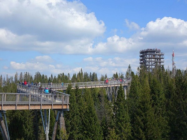 Het boomtoppenpad in National Park Pieniny