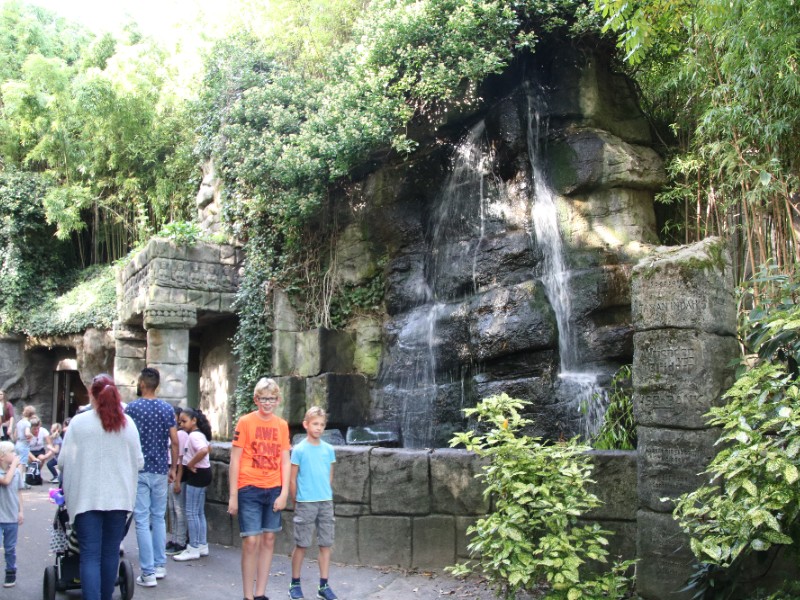 Het is aangenaam koel in de schaduwrijke tuindelen van Blijdorp