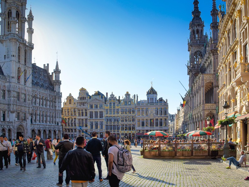 Brussel is een prachtige stad vol indrukwekkende gebouwen en mooie pleinen.