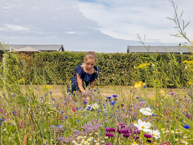 Mooi bosje bloemen plukken in de pluktuin!