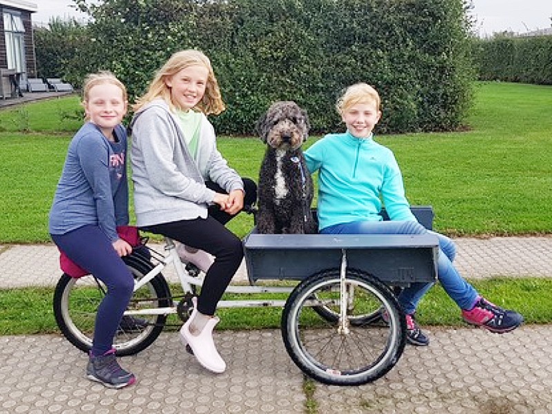 Ook jullie trouwe viervoeter mag mee op vakantie!