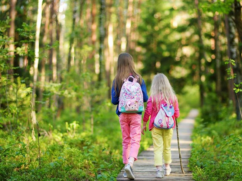 wandelen door het bos in jussi wandelen door het bos in jussi