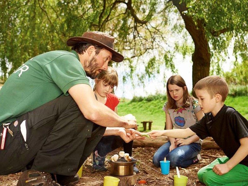 marshmallows warmen bij het vuur marshmallows warmen bij het vuur