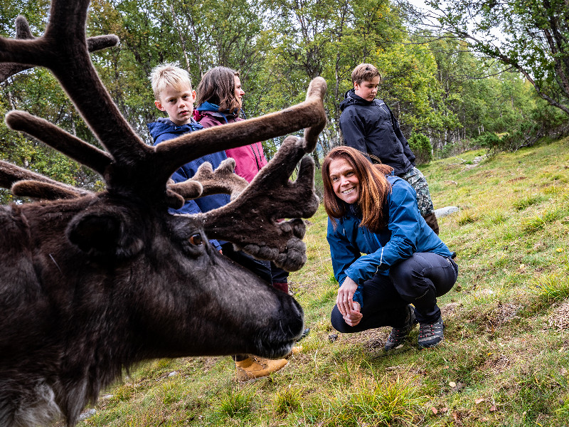 Rendieren en elanden spotten in Zweden